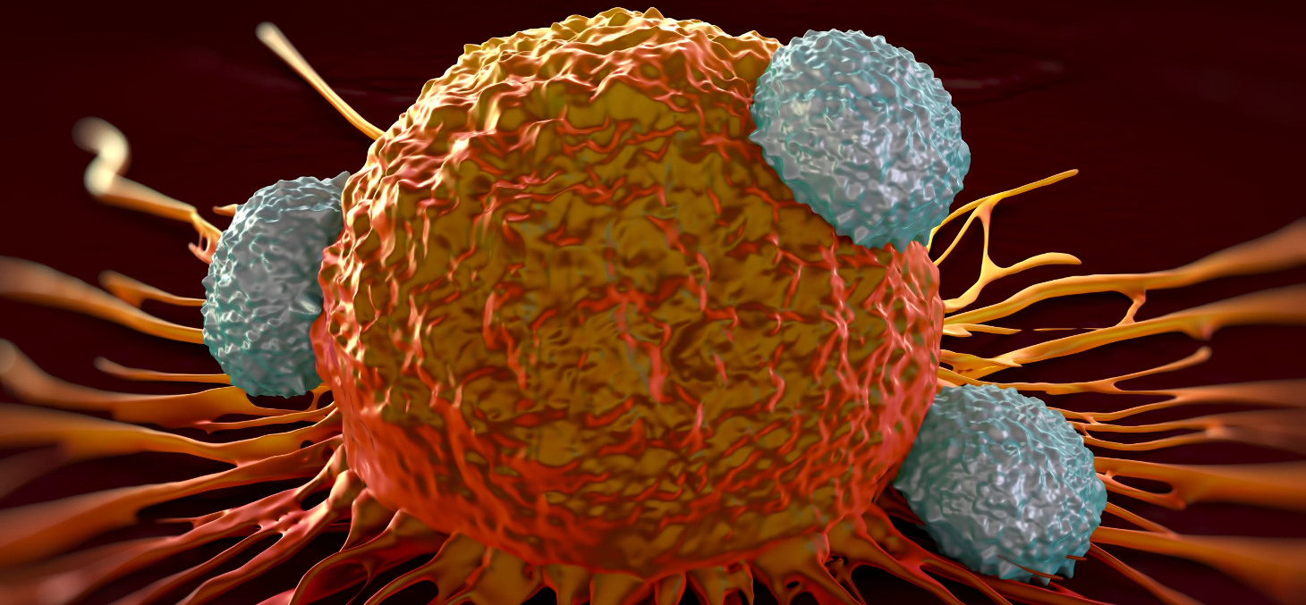 T cells attacking a cancer cell